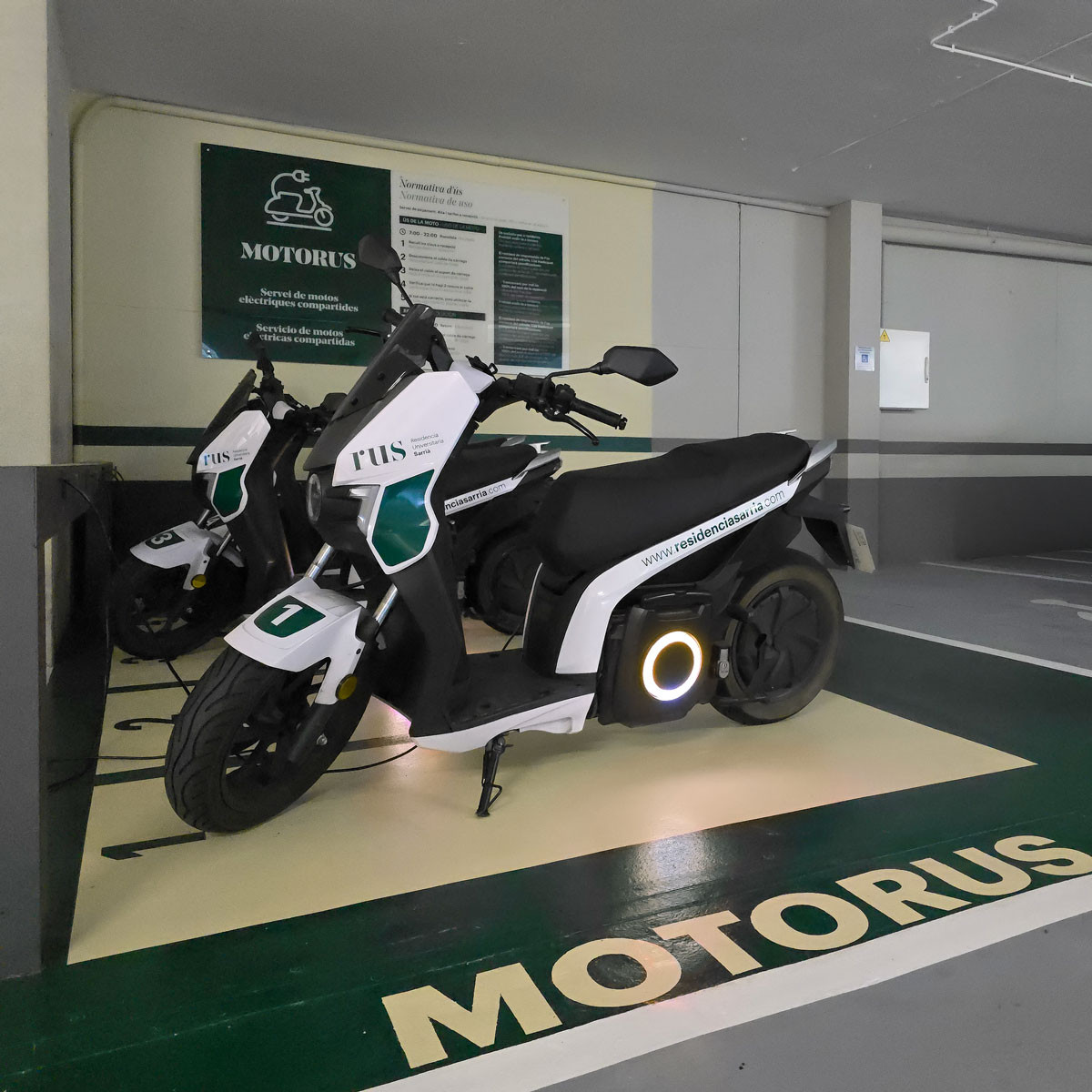 MOTORUS
