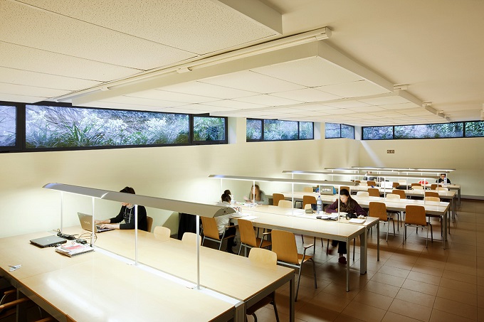 Sala de estudio adaptada para un correcto desarrollo personal