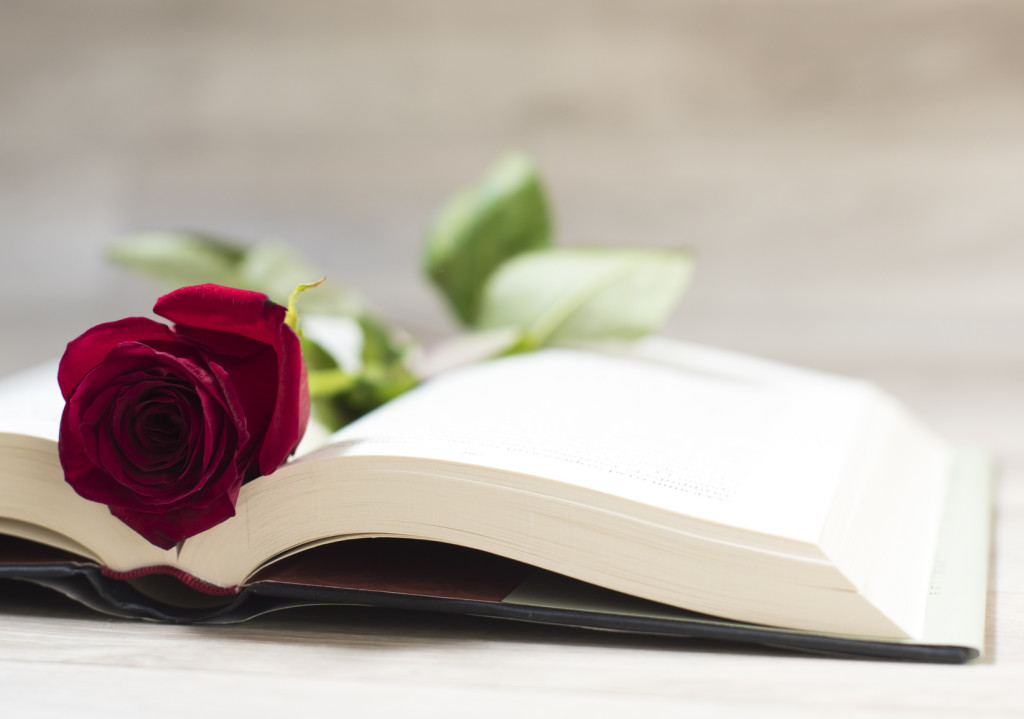 Sant Jordi 2017 en la Residencia Sarriá