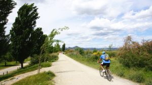 Barcelona en bicicleta te permite recorrer zonas naturales como el Delta del Llobregat