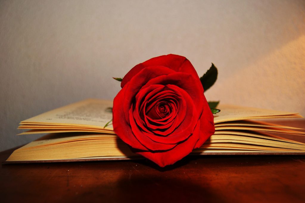 planes en Barcelona para Sant Jordi 2019