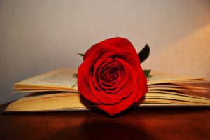 planes en Barcelona para Sant Jordi 2019