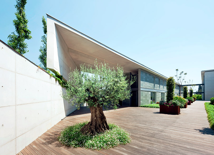 Descubre el entorno y zonas verdes que rodean la Residencia Sarrià
