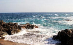 excursiones barcelona estudiantes desconectar