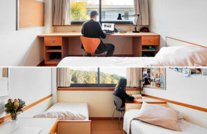 habitación doble o individual
