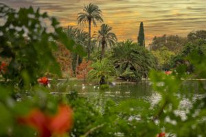 Los mejores parques de Barcelona para leer y estudiar